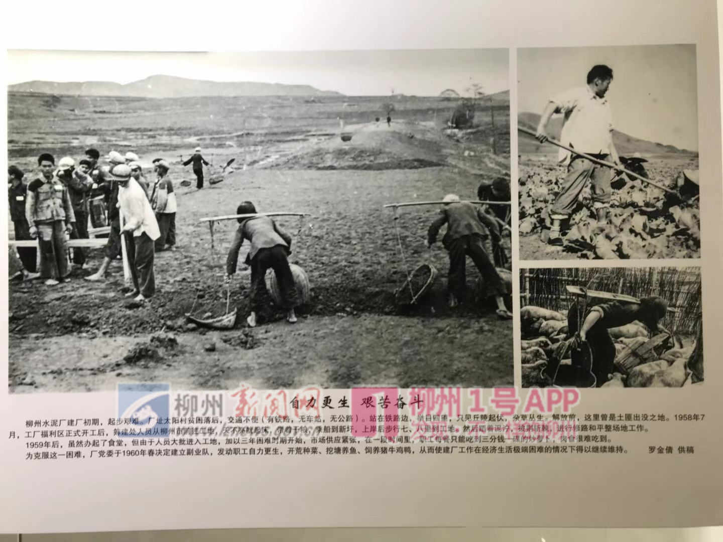 微信图片_20190105142221.jpg