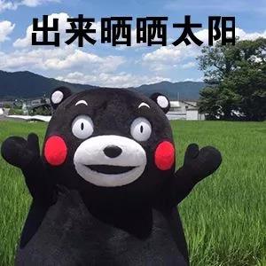 微信图片_20190108174447.jpg 微信图片_20190108174447.jpg