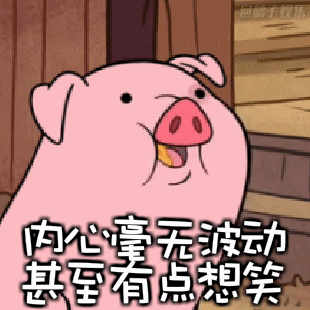 猪年354天鼠年384天？网友：猪年那么短，怎么够睡？