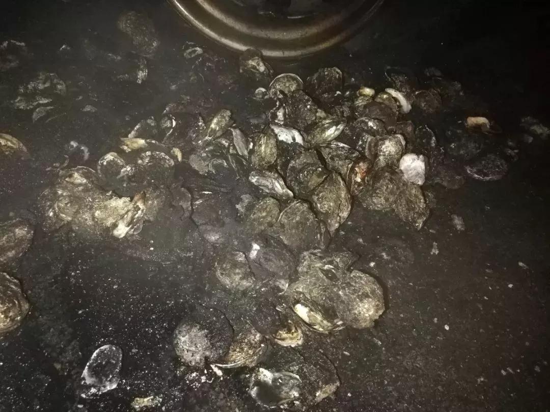货车起火23吨生蚝被烤熟！记者报道完才发现是自家货…