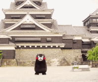 微信图片_20190110143623.gif 微信图片_20190110143623.gif