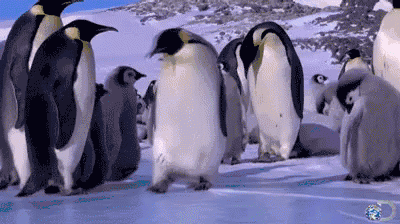 微信图片_20190111150405.gif 微信图片_20190111150405.gif