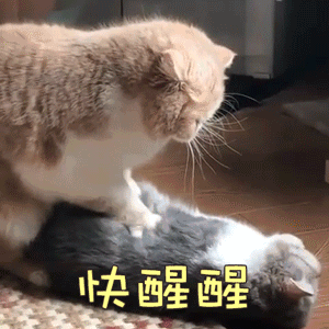 微信图片_20190114113948.gif 微信图片_20190114113948.gif