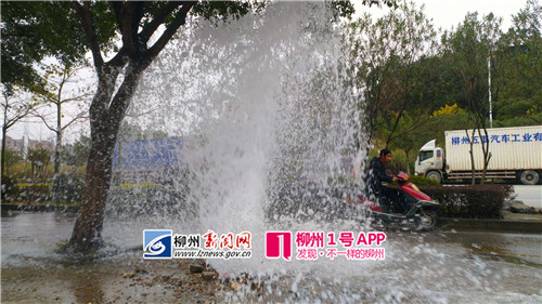 微信图片_20190117164323_副本.jpg