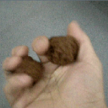 640 (2).gif