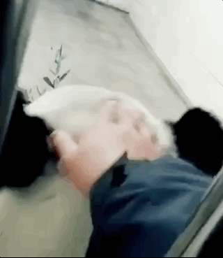 640 (3).gif