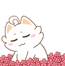 微信图片_20190120143049.gif