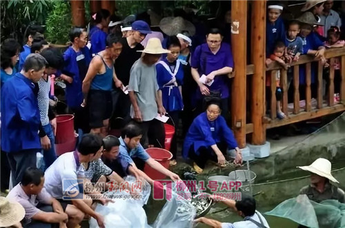 “五送春风”吹进三江丨扶贫电商展销会将大批侗乡“土味年货”送进城！