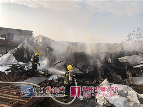 微信图片_20190122172415_副本.jpg