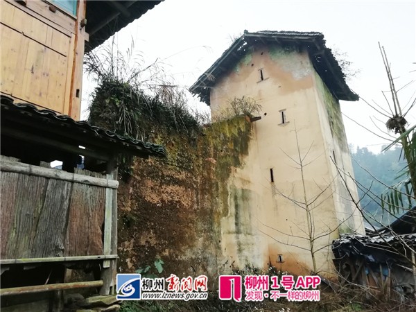 三江村落发现的古银币是妇人所藏私房钱？秦氏家族背后有何秘密？
