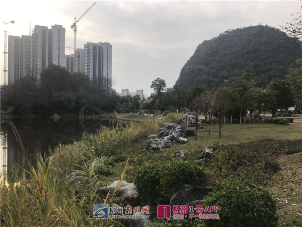 微信图片_20190124164001.jpg 微信图片_20190124164001.jpg