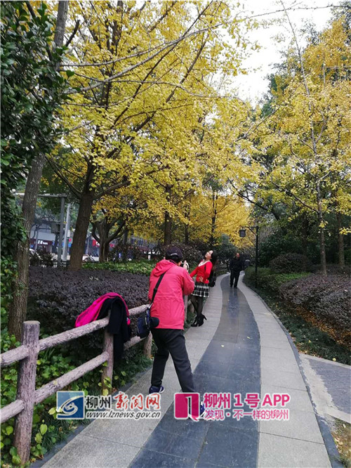 微信图片_20190124175501_副本.jpg