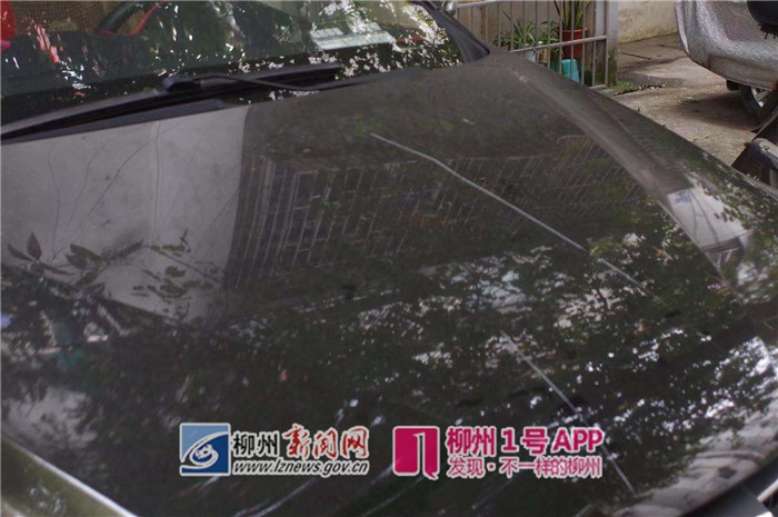 微信图片_20190126131923.jpg