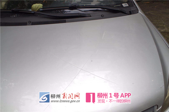 微信图片_20190126131930.jpg