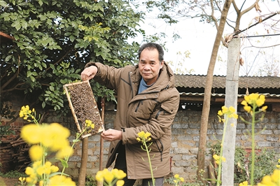 “甜蜜事业”换来“花样生活”，走进沙塘镇江湾村永安屯贫困户们的新天地