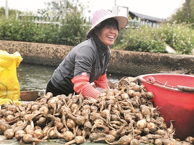 生态文明留乡愁 村民自治美家园