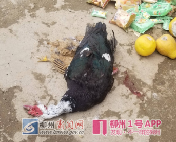 微信截图_20190127172251.png 微信截图_20190127172251.png
