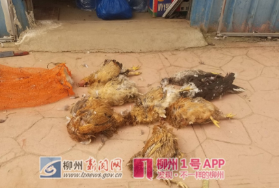 微信截图_20190127172304.png 微信截图_20190127172304.png