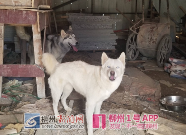 微信截图_20190127172315.png 微信截图_20190127172315.png