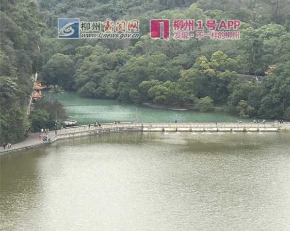 龙潭公园的湖水，为何一半绿一半黄？管理方：水质恶化属历史遗留问题