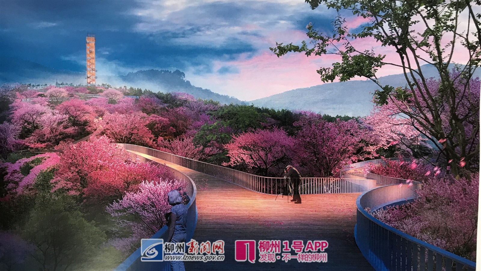 柳州人关心的紫荆花公园规划出炉，看看它建在哪？速速围观效果图