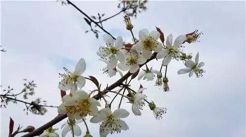微信图片_20190213173144.jpg 微信图片_20190213173144.jpg