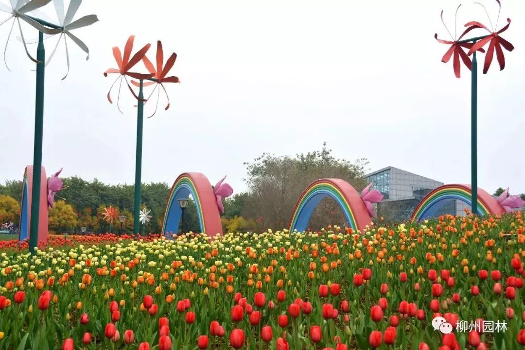 微信图片_20190213173201.jpg 微信图片_20190213173201.jpg
