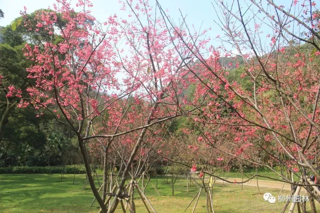 微信图片_20190213173220.jpg 微信图片_20190213173220.jpg