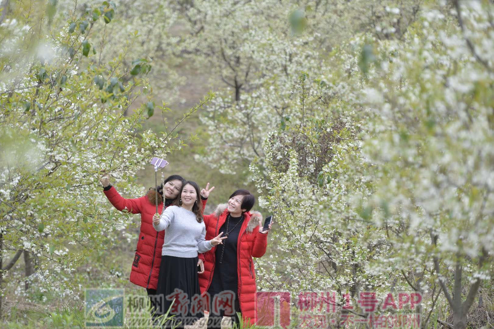 微信图片_20190214174412.jpg