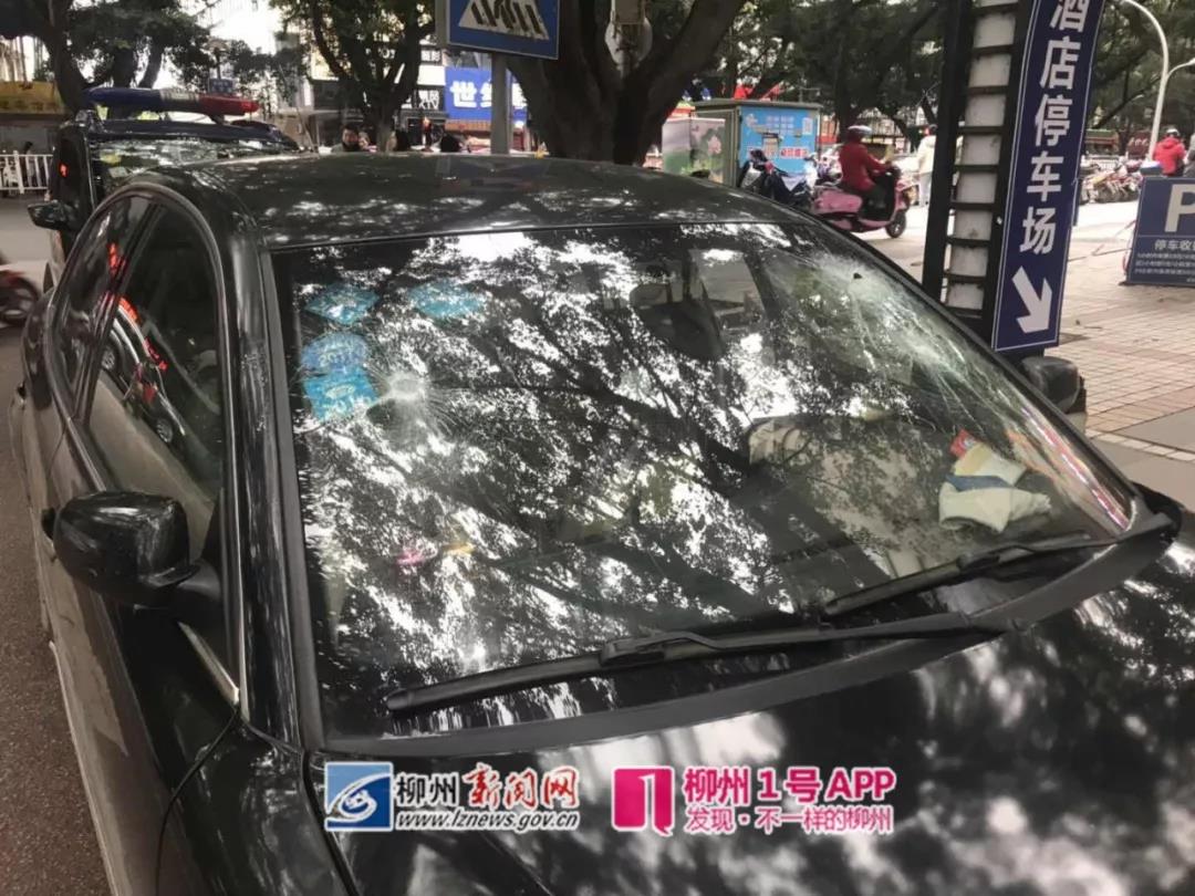 微信图片_20190215205418.jpg