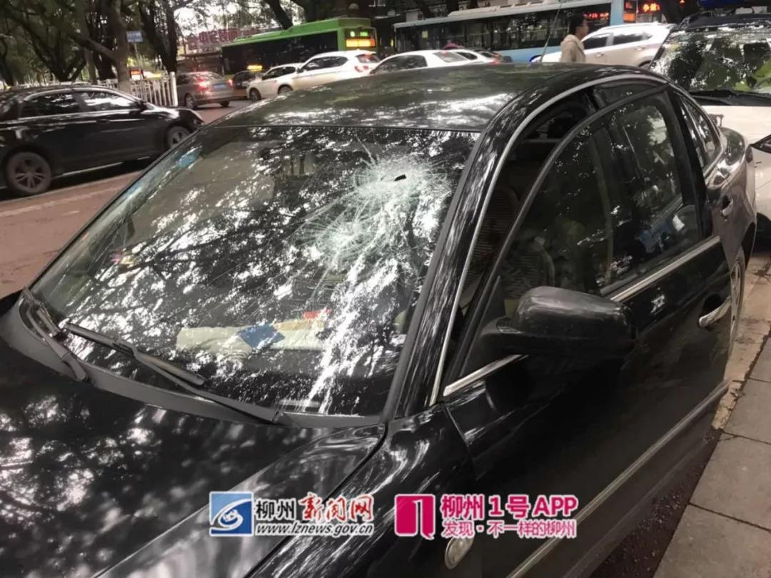 微信图片_20190215205416.jpg