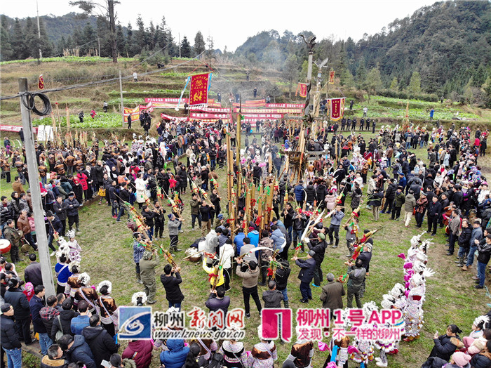 视频 | 靓丽的“坡花”、勇猛的斗马，还有各种祈福活动都在苗家坡会