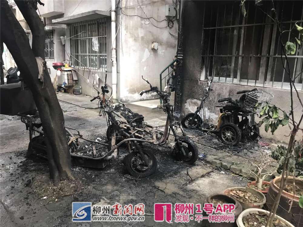 微信图片_20190218090803.jpg