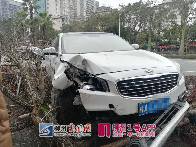 微信图片_20190219143552.jpg