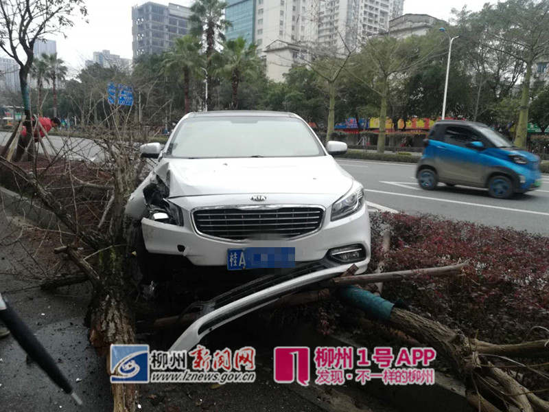 1号爆料 |树都被撞倒了！ 桂A牌照轿车“骑”上东环大道绿化带，车头凹陷