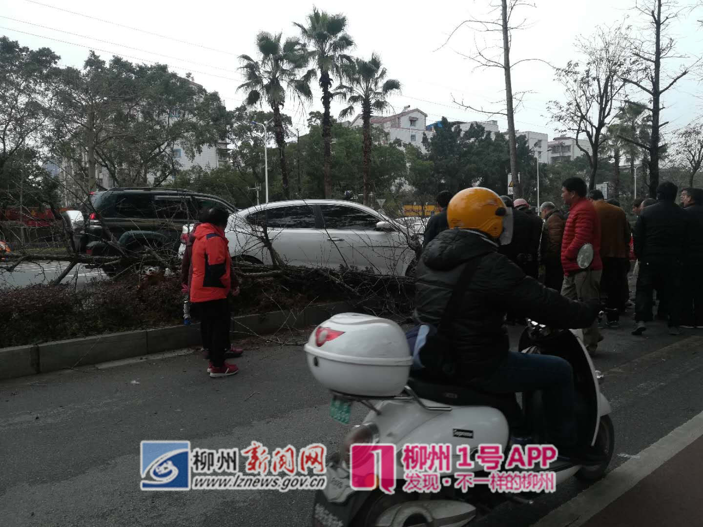 微信图片_20190219144245.jpg