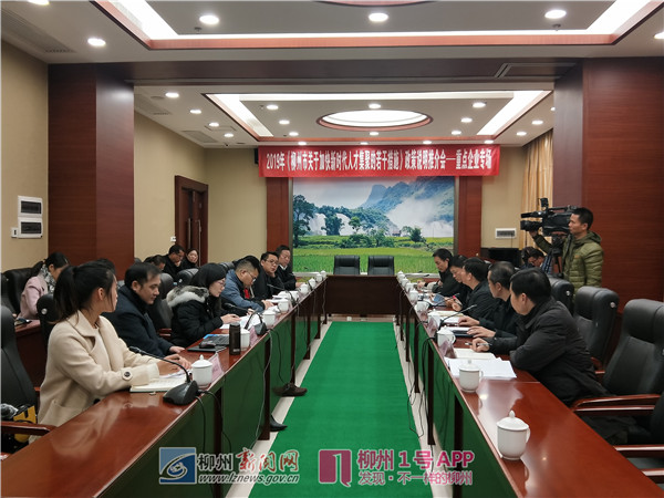 @柳州市新引进人才，3月即可兑现奖励和补贴！