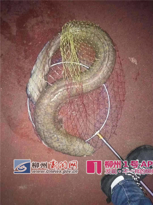 微信图片_20190220163300.jpg 微信图片_20190220163300.jpg