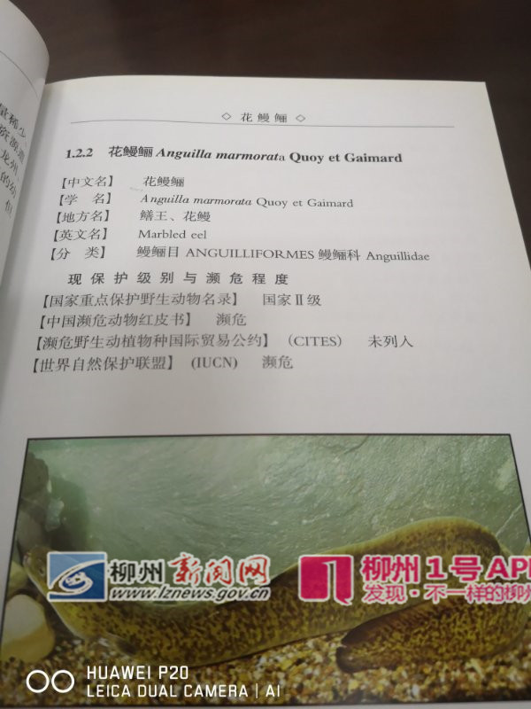 微信图片_20190220163326.jpg 微信图片_20190220163326.jpg