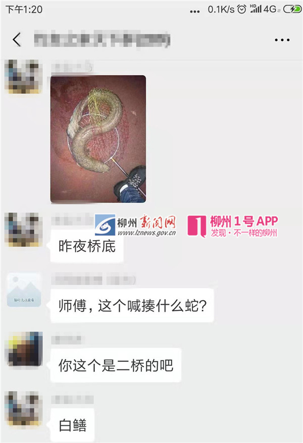 微信图片_20190220163404_副本.jpg