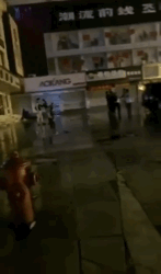 22.gif 22.gif