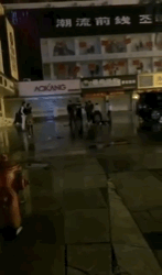33.gif 33.gif
