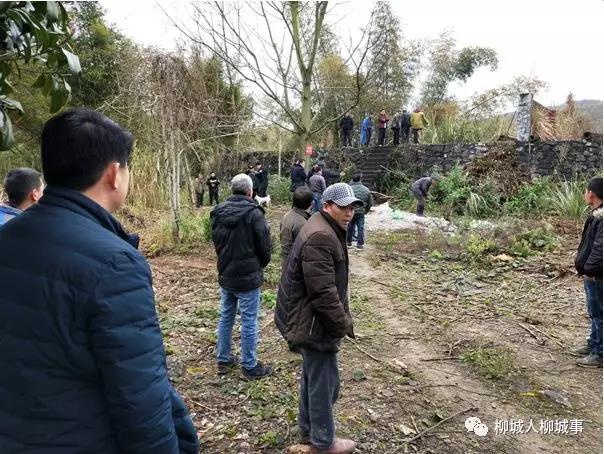 微信图片_20190227190341.jpg 微信图片_20190227190341.jpg