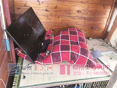微信图片_20190228155738.jpg 微信图片_20190228155738.jpg