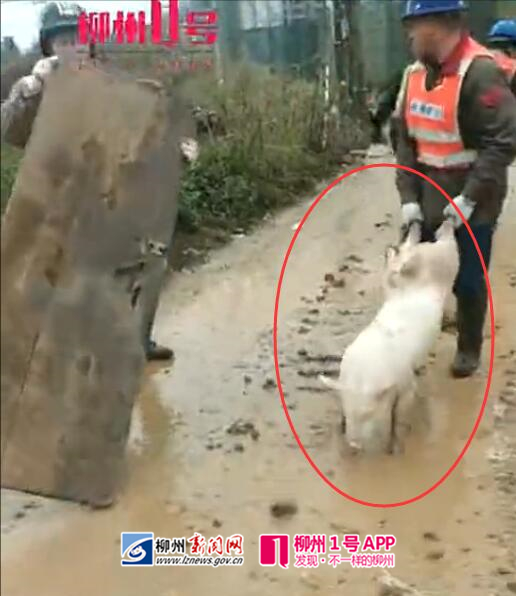 QQ截图20190228192606_副本.jpg