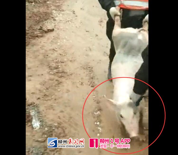 QQ截图20190228192643_副本.jpg