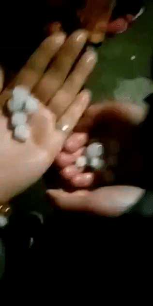 17.gif
