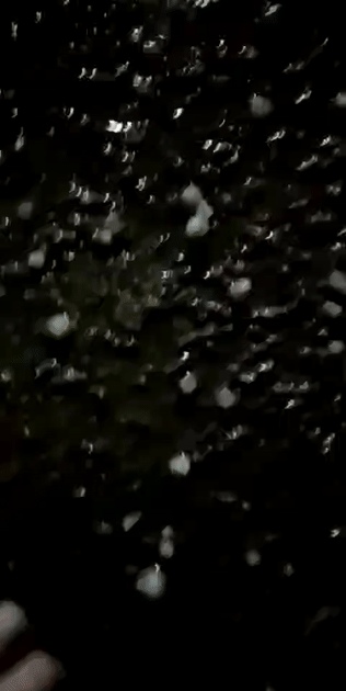 18.gif