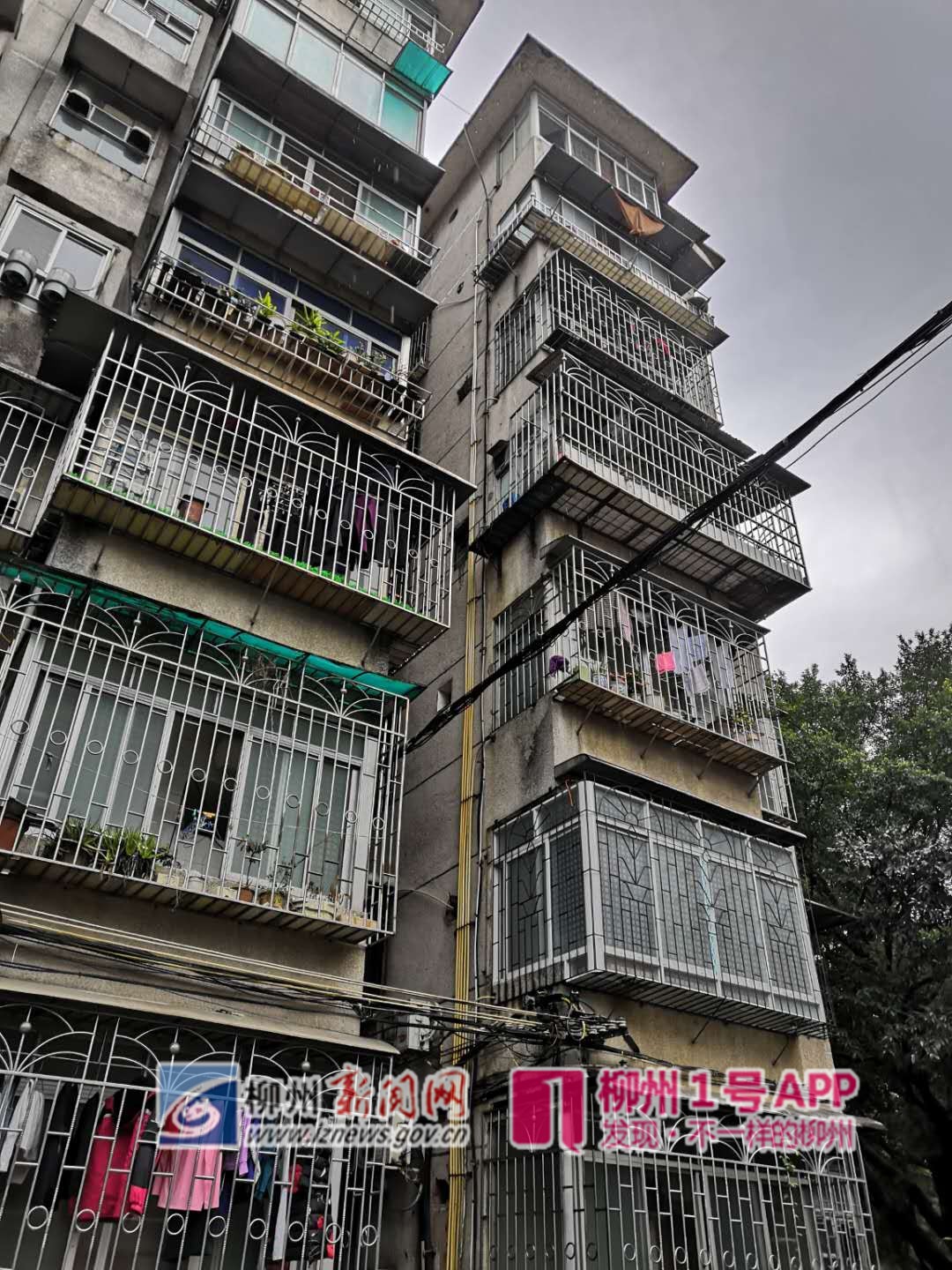 微信图片_20190306100638_副本.jpg