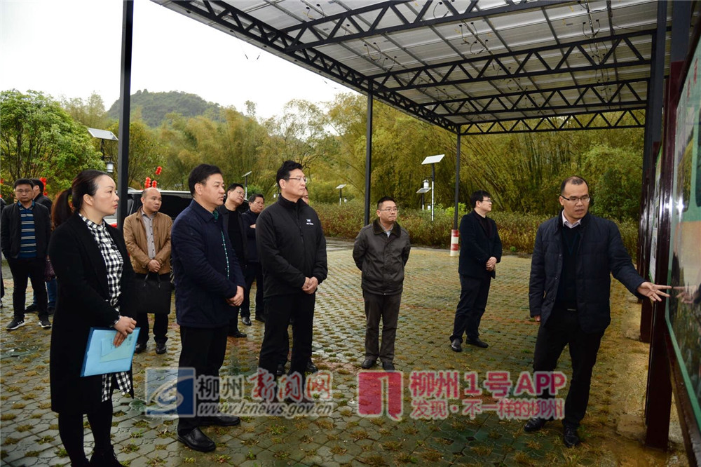 微信图片_20190306162550.jpg 微信图片_20190306162550.jpg